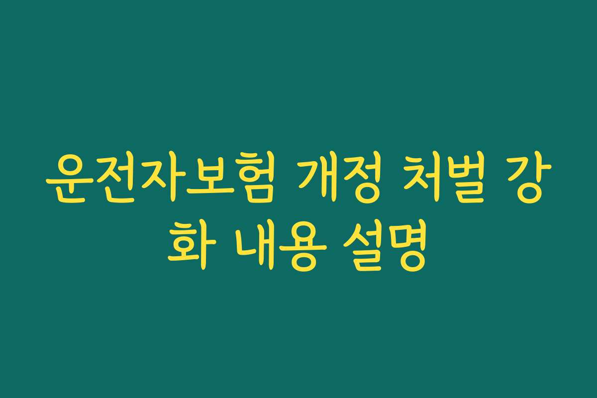 운전자보험 개정 처벌 강화 내용 설명
