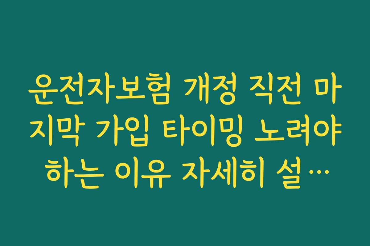 운전자보험 개정 직전 마지막 가입 타이밍 노려야 하는 이유 자세히 설명하기