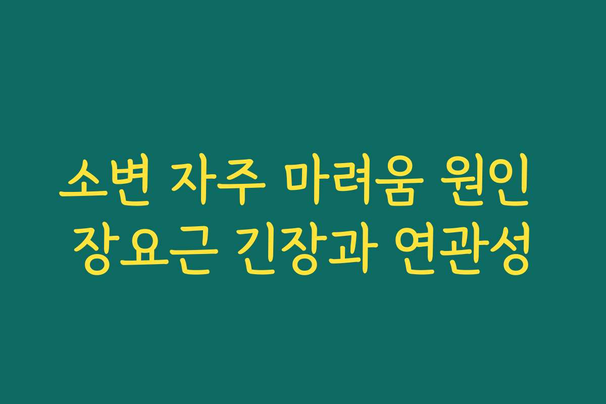 소변 자주 마려움 원인 장요근 긴장과 연관성