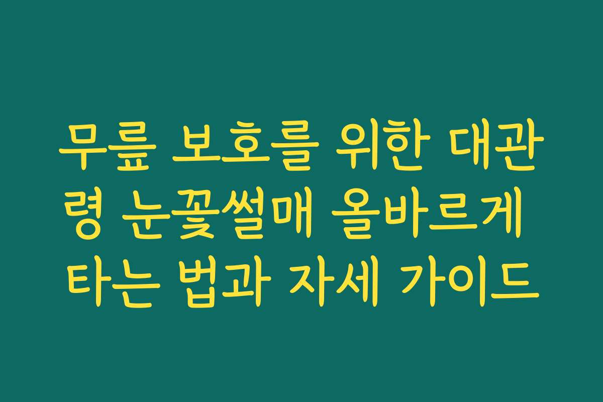 무릎 보호를 위한 대관령 눈꽃썰매 올바르게 타는 법과 자세 가이드