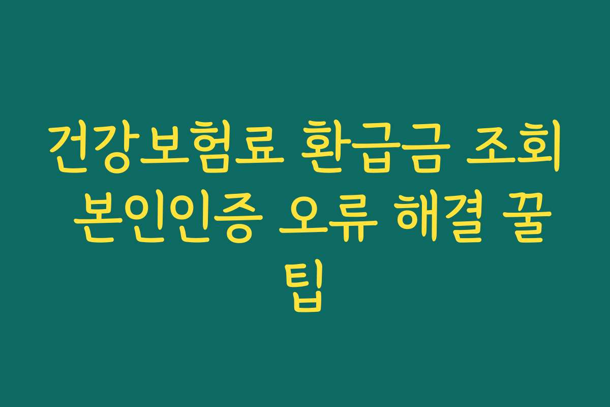 건강보험료 환급금 조회 본인인증 오류 해결 꿀팁