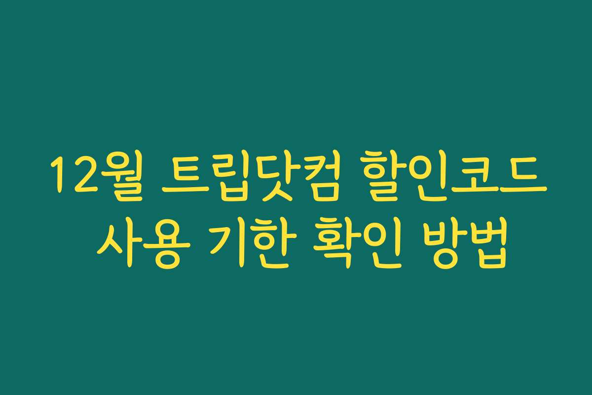 12월 트립닷컴 할인코드 사용 기한 확인 방법