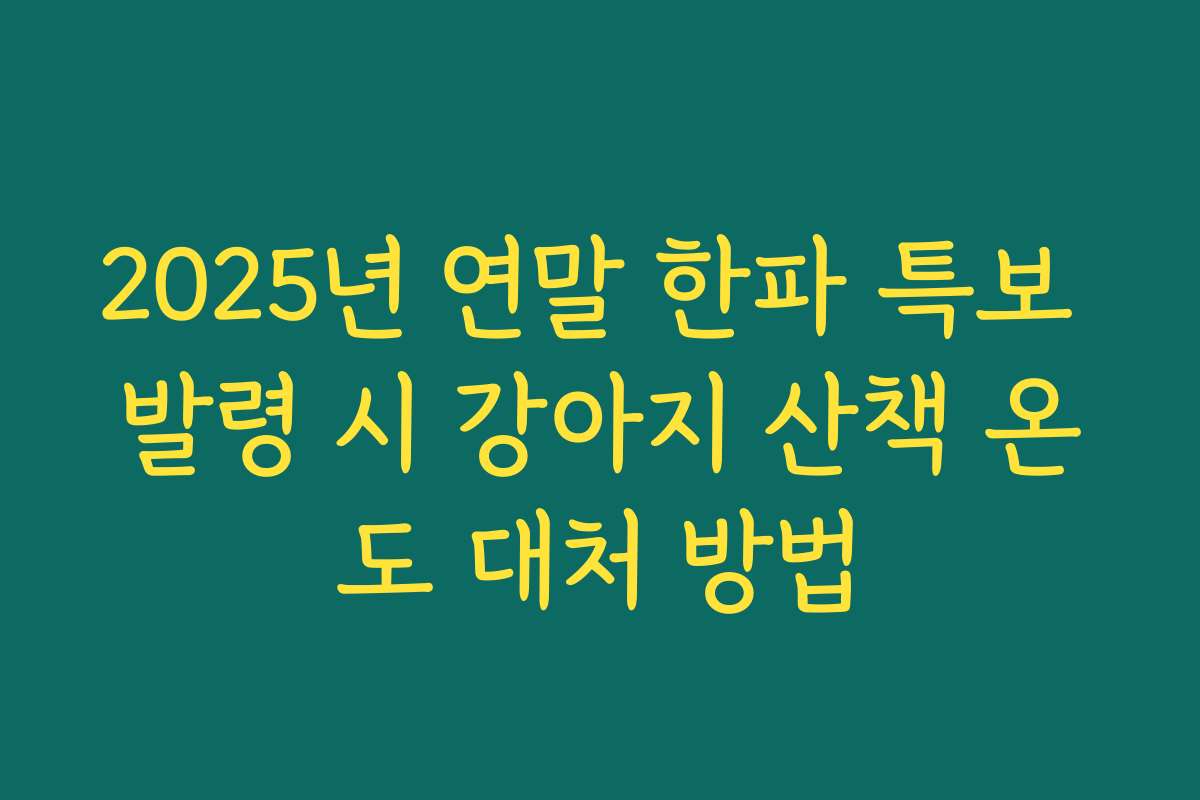 2025년 연말 한파 특보 발령 시 강아지 산책 온도 대처 방법