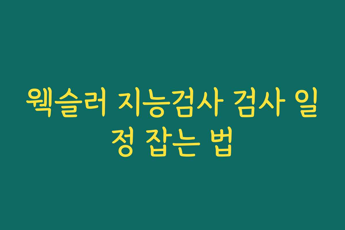 웩슬러 지능검사 검사 일정 잡는 법