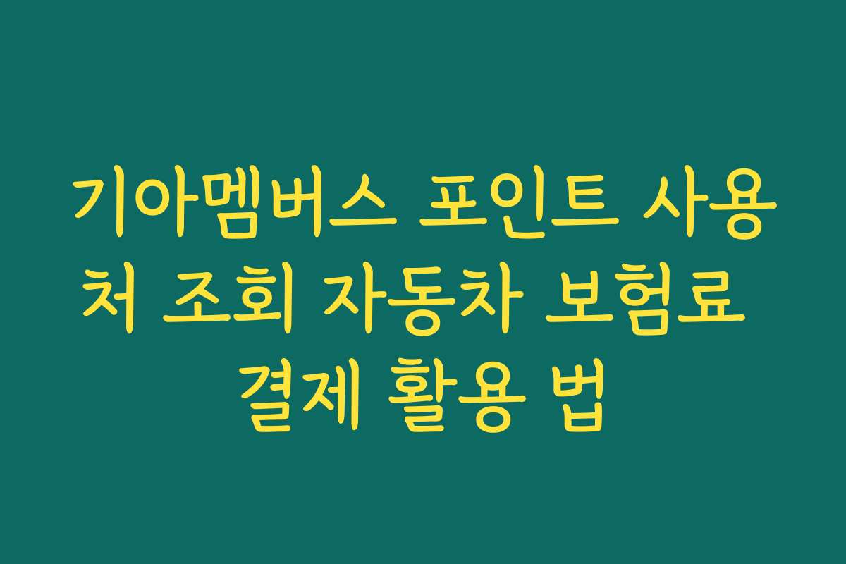 기아멤버스 포인트 사용처 조회 자동차 보험료 결제 활용 법