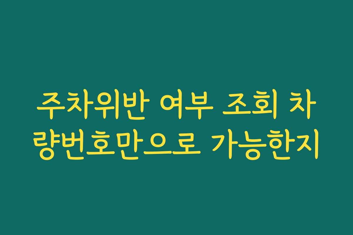 주차위반 여부 조회 차량번호만으로 가능한지