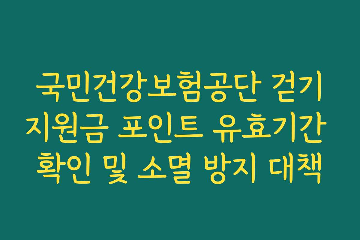 국민건강보험공단 걷기지원금 포인트 유효기간 확인 및 소멸 방지 대책