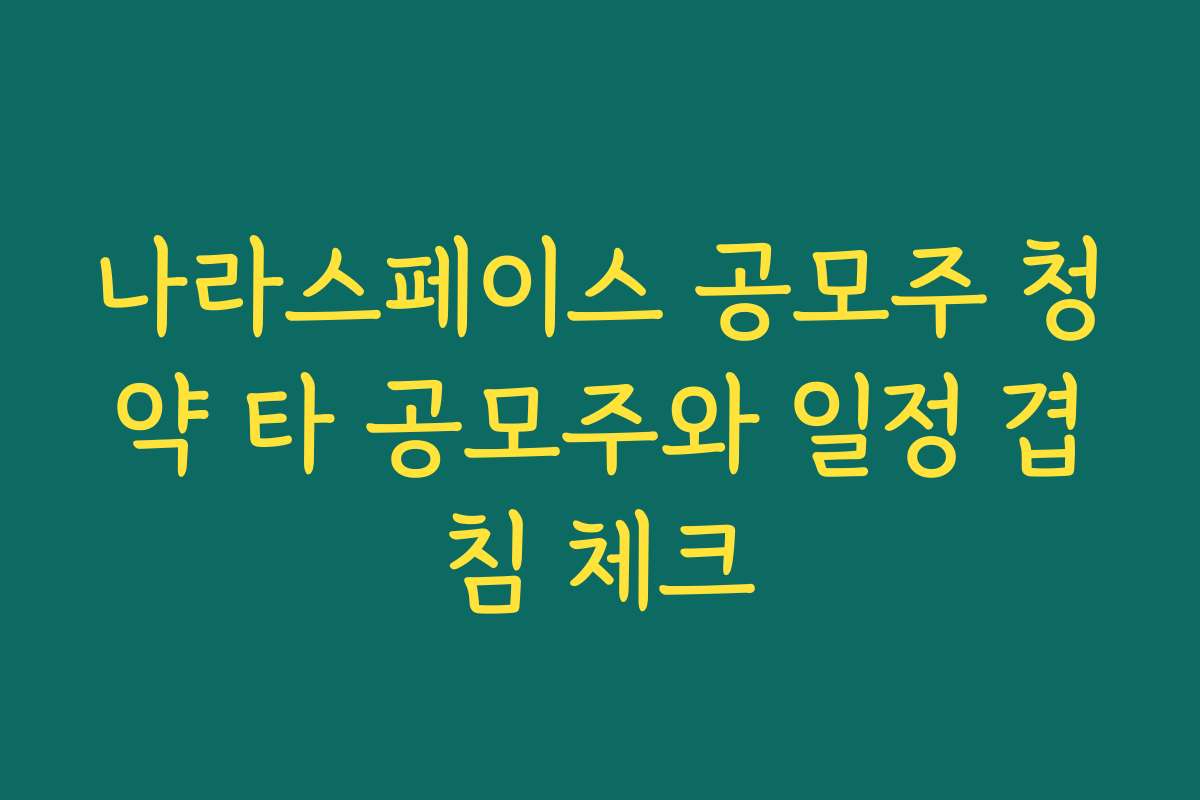 나라스페이스 공모주 청약 타 공모주와 일정 겹침 체크