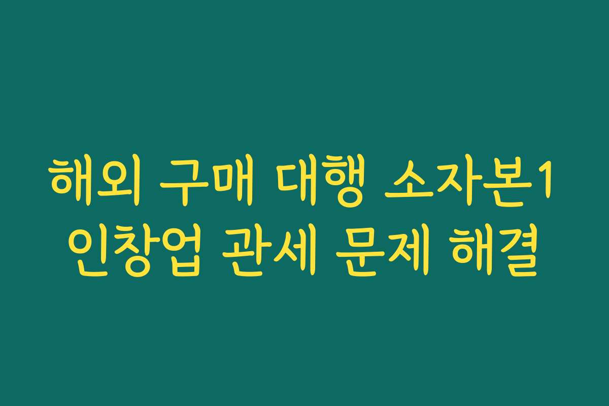 해외 구매 대행 소자본1인창업 관세 문제 해결