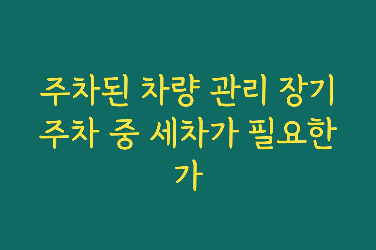 주차된 차량 관리 장기주차 중 세차가 필요한가