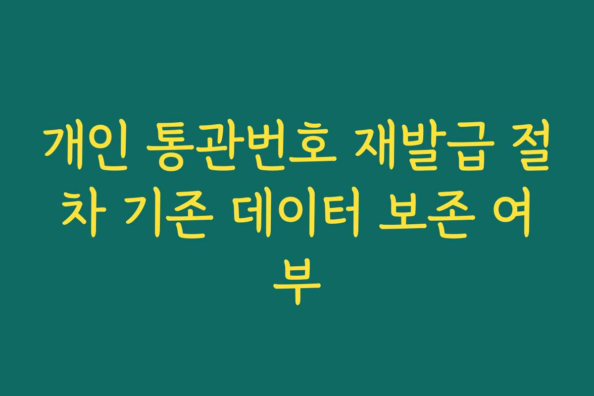 개인 통관번호 재발급 절차 기존 데이터 보존 여부