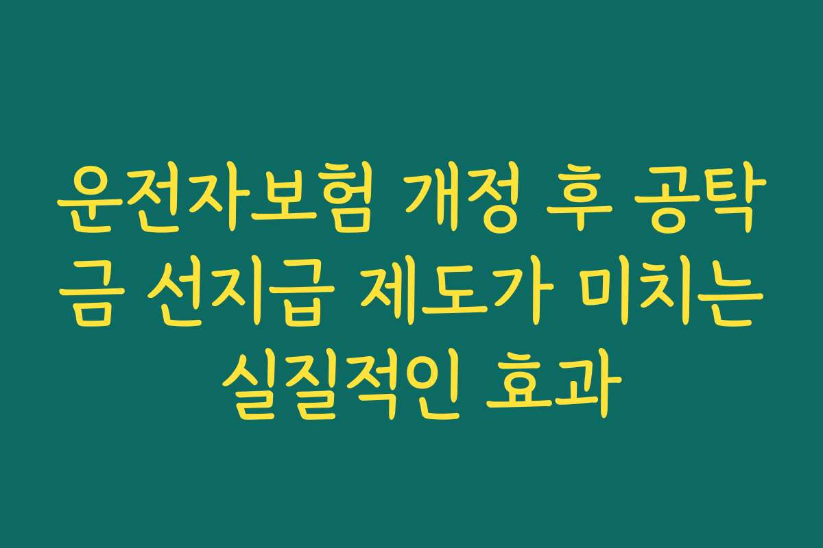 운전자보험 개정 후 공탁금 선지급 제도가 미치는 실질적인 효과