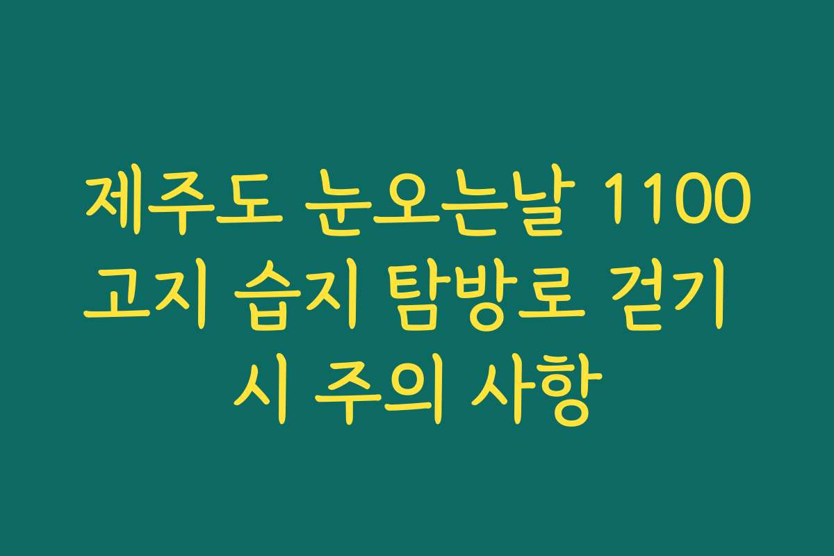 제주도 눈오는날 1100고지 습지 탐방로 걷기 시 주의 사항