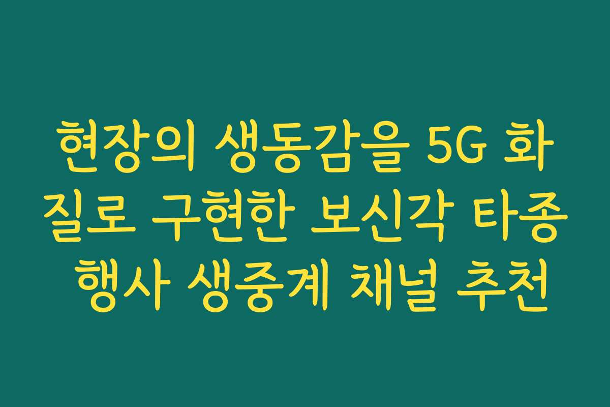 현장의 생동감을 5G 화질로 구현한 보신각 타종 행사 생중계 채널 추천