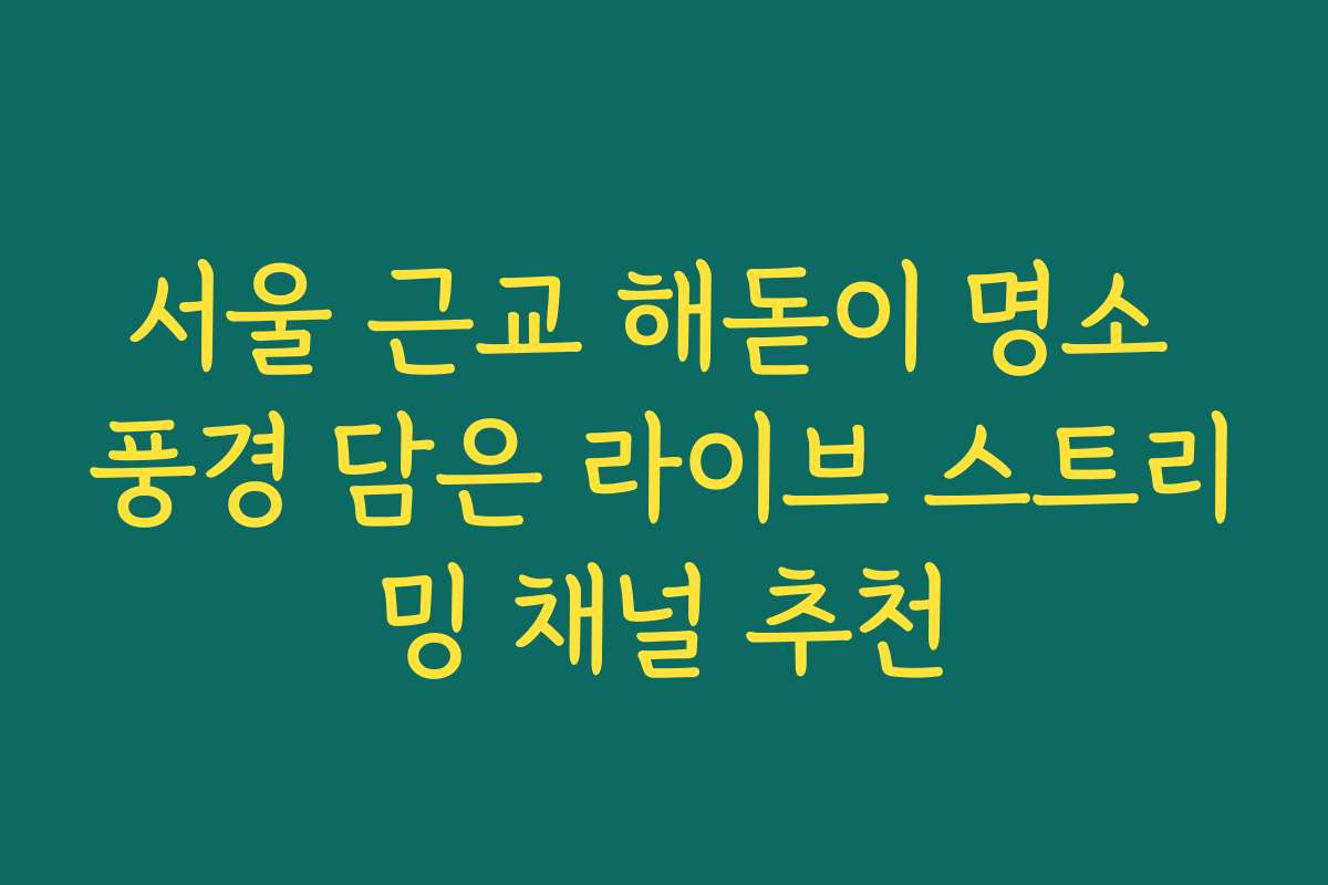 서울 근교 해돋이 명소 풍경 담은 라이브 스트리밍 채널 추천