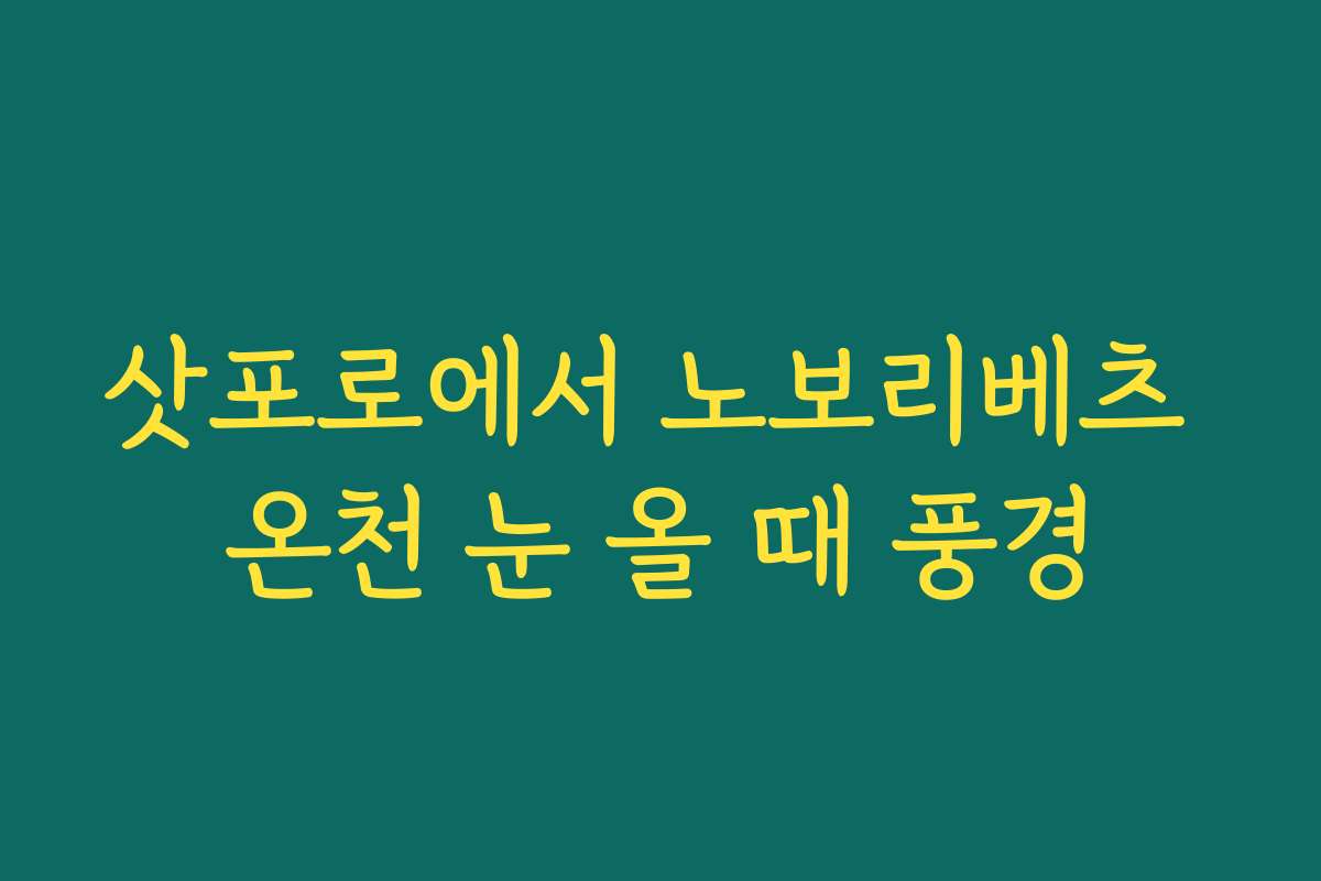 삿포로에서 노보리베츠 온천 눈 올 때 풍경