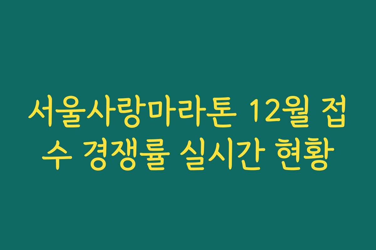 서울사랑마라톤 12월 접수 경쟁률 실시간 현황