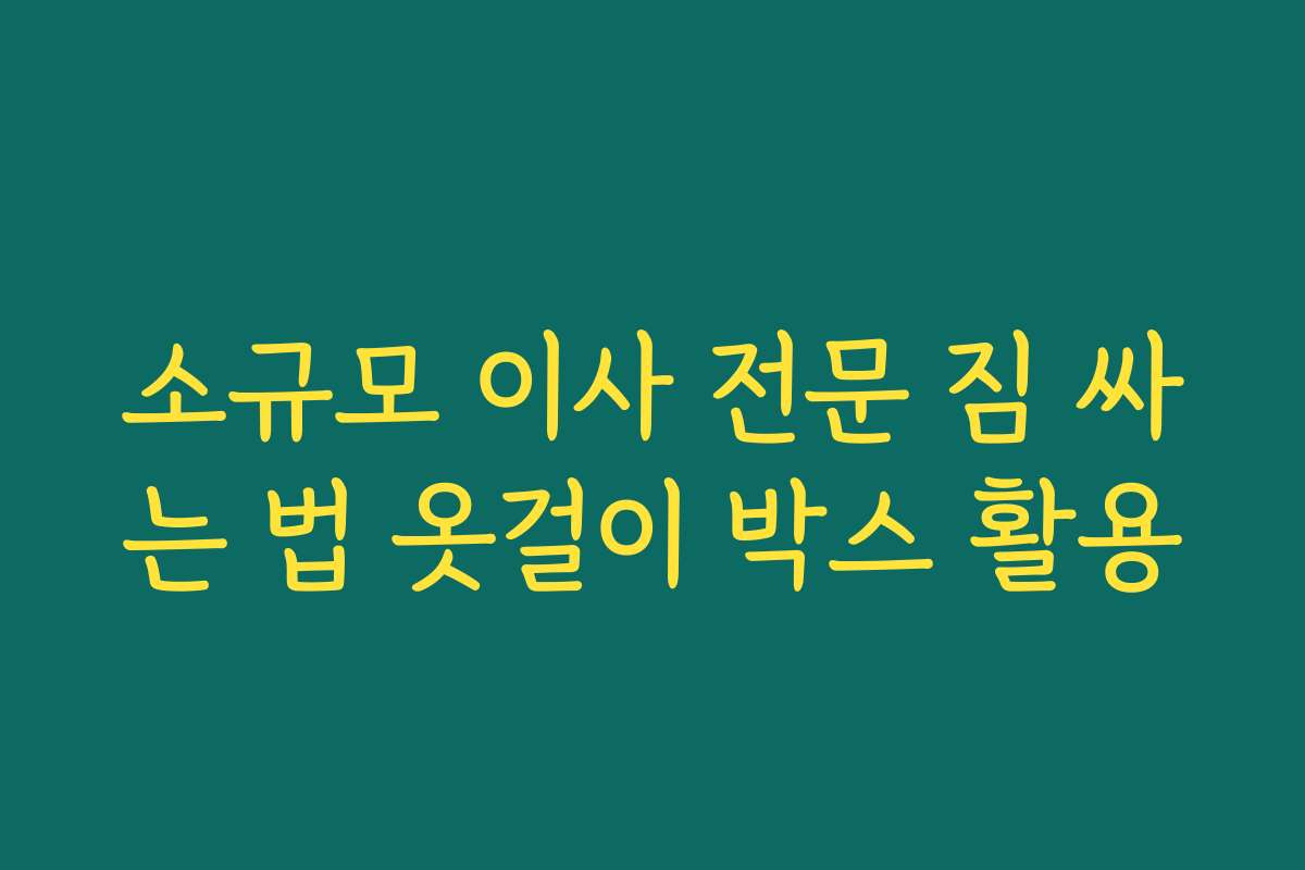소규모 이사 전문 짐 싸는 법 옷걸이 박스 활용