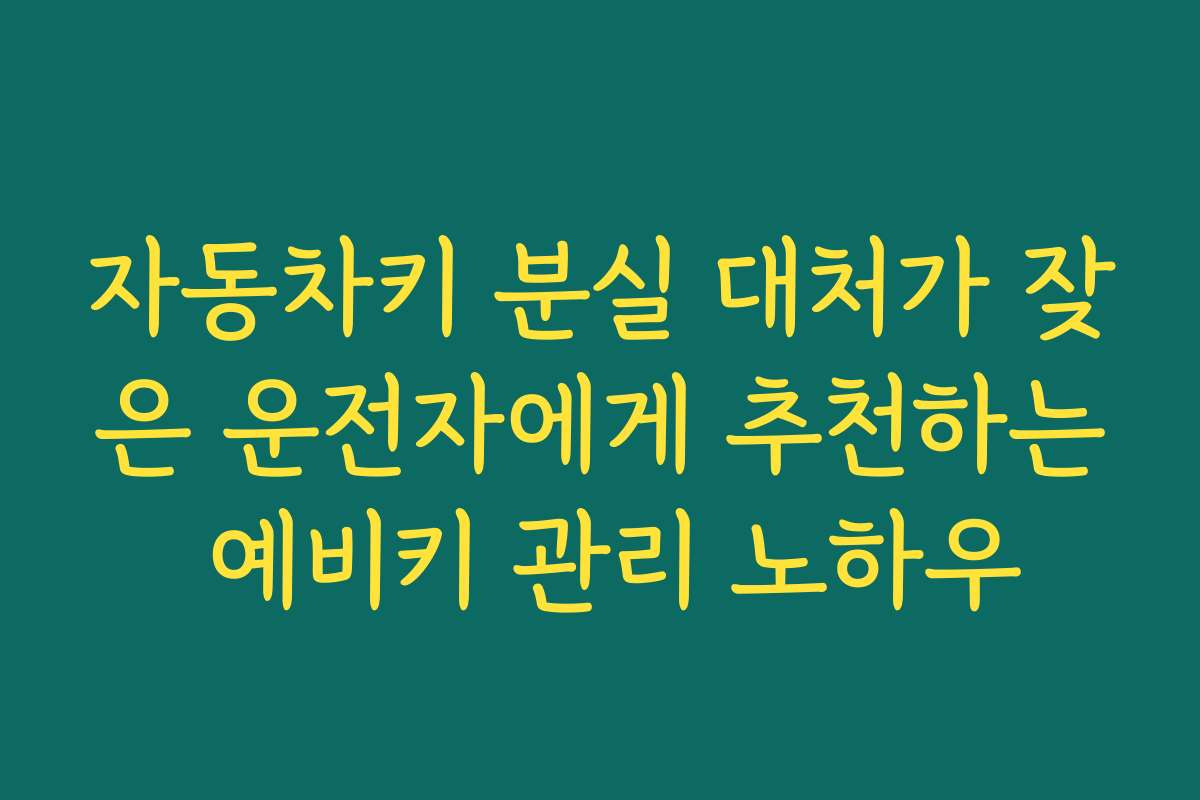 자동차키 분실 대처가 잦은 운전자에게 추천하는 예비키 관리 노하우