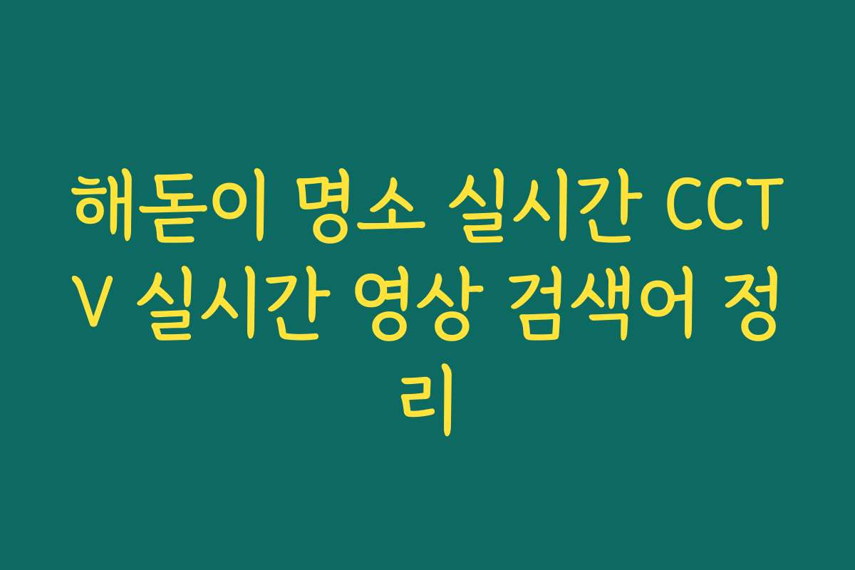 해돋이 명소 실시간 CCTV 실시간 영상 검색어 정리