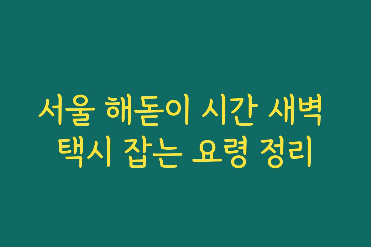 서울 해돋이 시간 새벽 택시 잡는 요령 정리
