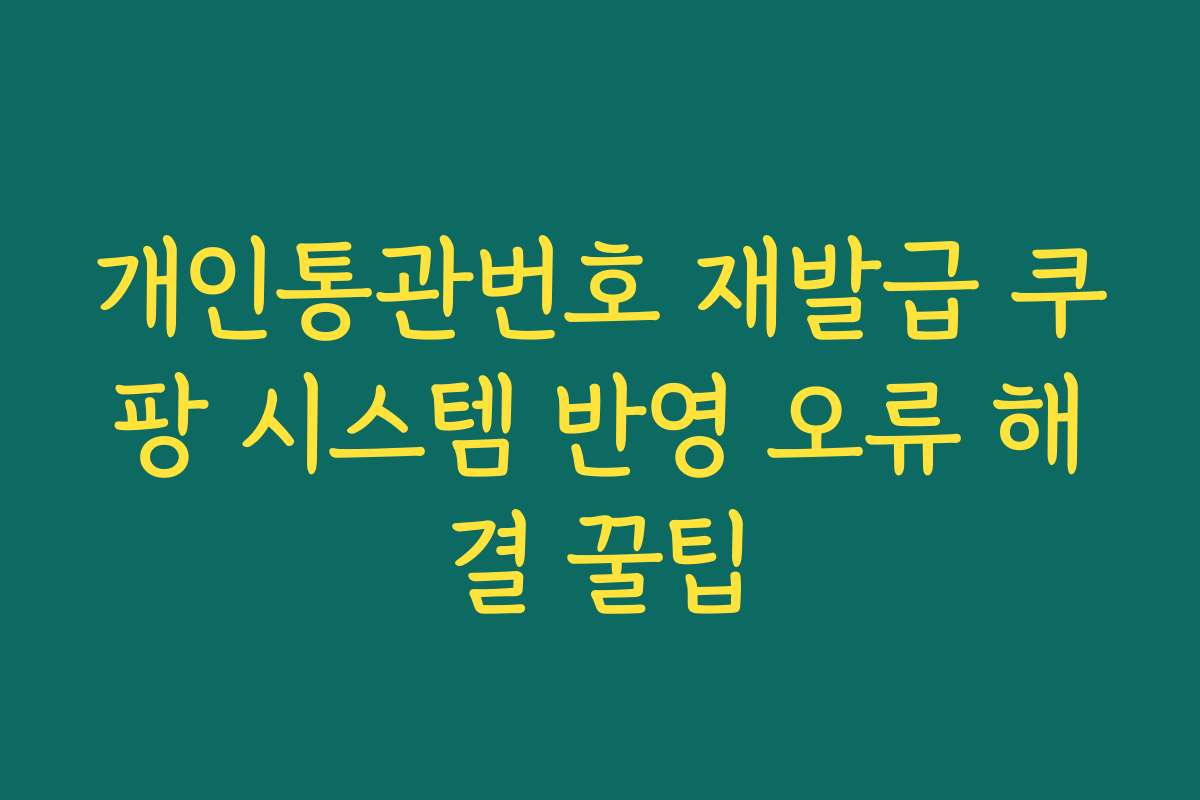 개인통관번호 재발급 쿠팡 시스템 반영 오류 해결 꿀팁