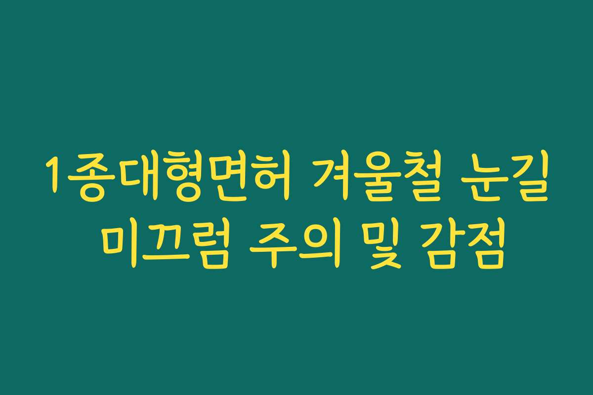1종대형면허 겨울철 눈길 미끄럼 주의 및 감점