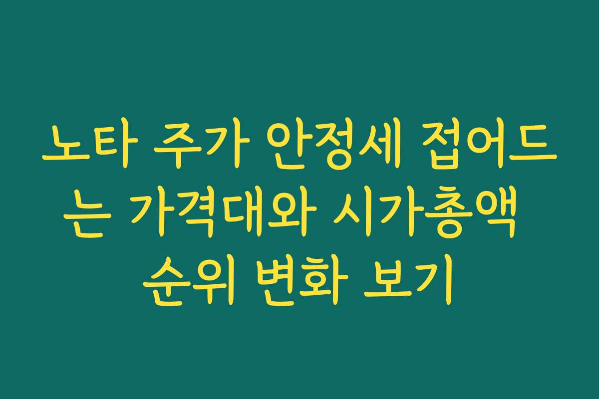 노타 주가 안정세 접어드는 가격대와 시가총액 순위 변화 보기