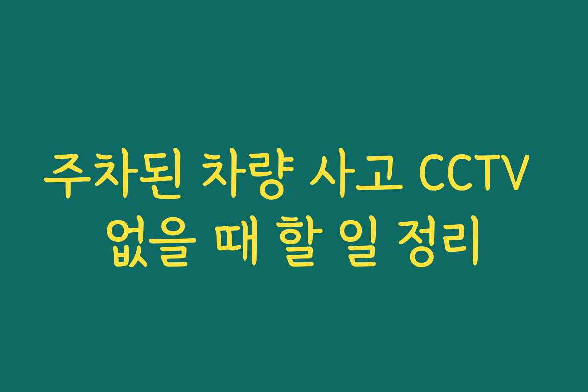주차된 차량 사고 CCTV 없을 때 할 일 정리