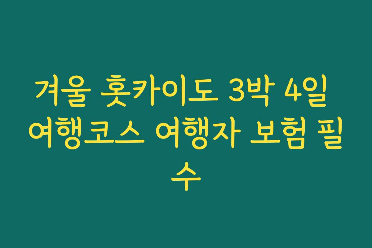 겨울 홋카이도 3박 4일 여행코스 여행자 보험 필수