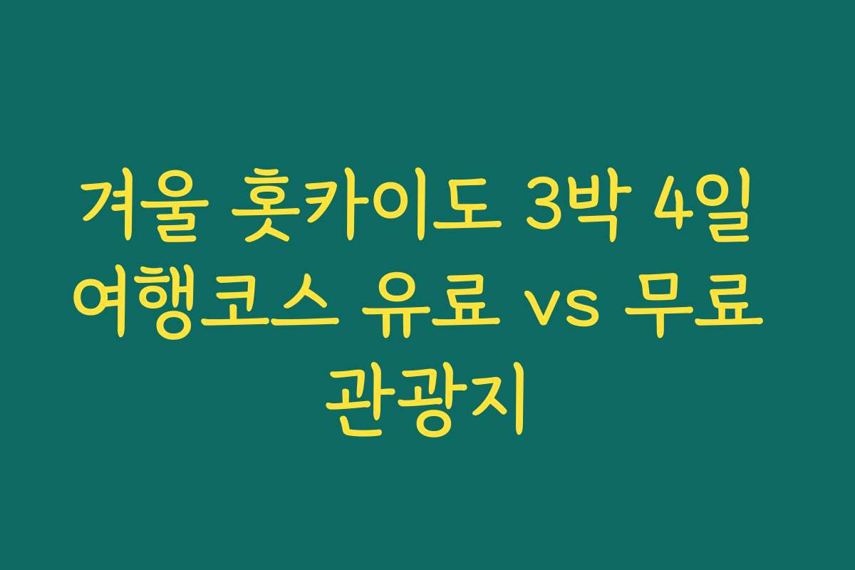 겨울 홋카이도 3박 4일 여행코스 유료 vs 무료 관광지