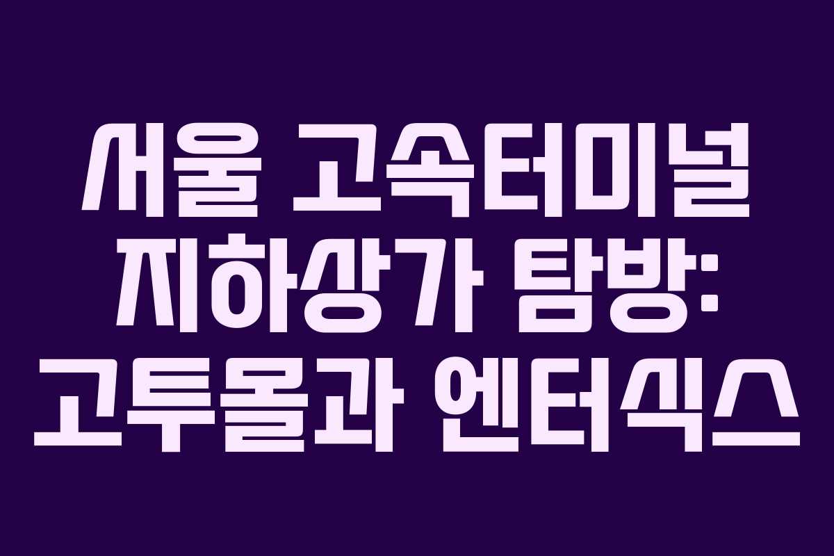 서울 고속터미널 지하상가 탐방: 고투몰과 엔터식스