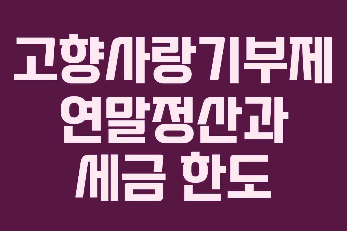 고향사랑기부제 연말정산과 세금 한도
