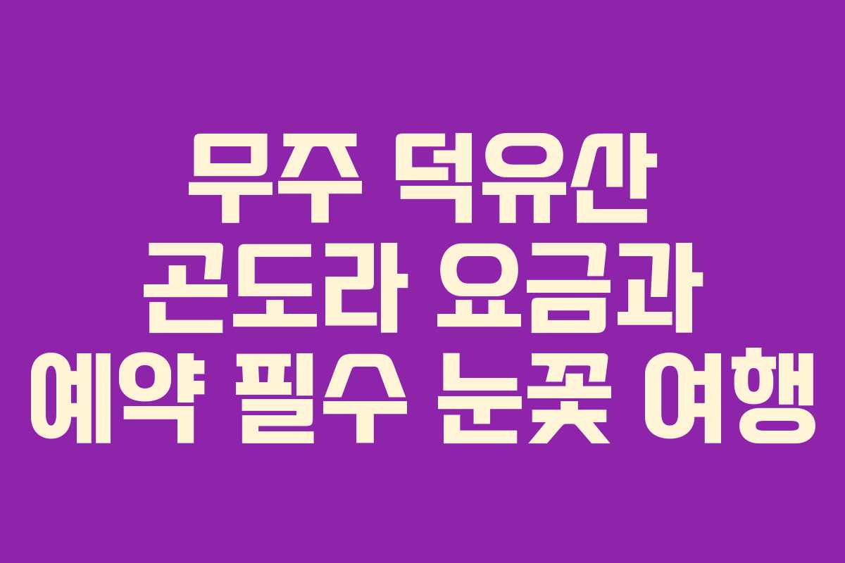 무주 덕유산 곤도라 요금과 예약 필수 눈꽃 여행