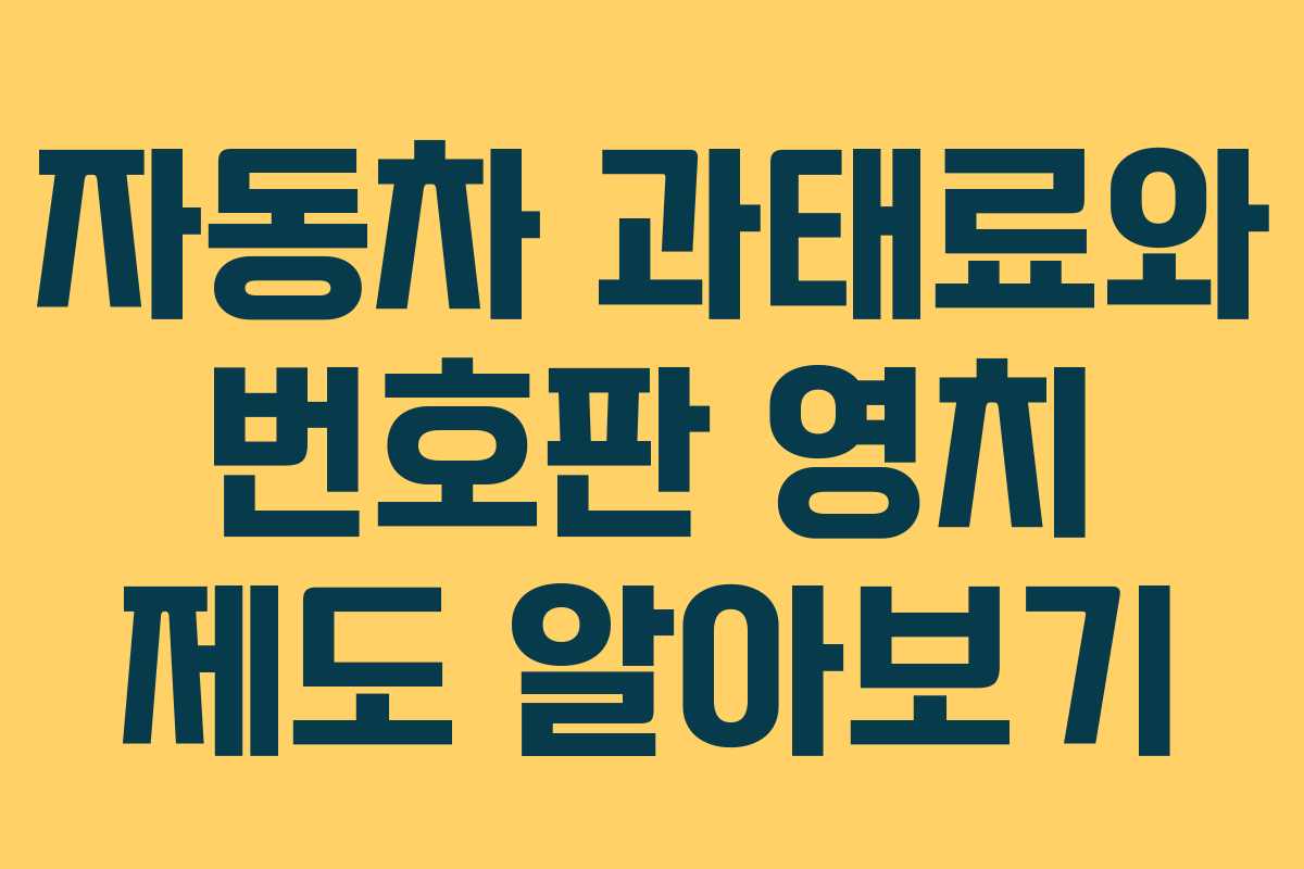 자동차 과태료와 번호판 영치 제도 알아보기