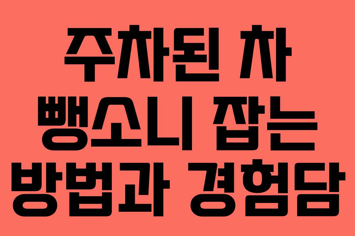 주차된 차 뺑소니 잡는 방법과 경험담