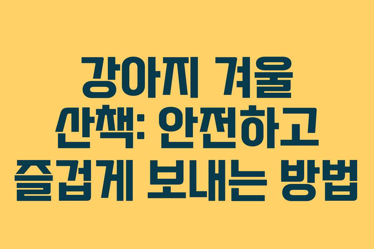 강아지 겨울 산책: 안전하고 즐겁게 보내는 방법