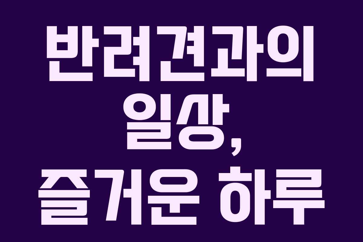 반려견과의 일상, 즐거운 하루