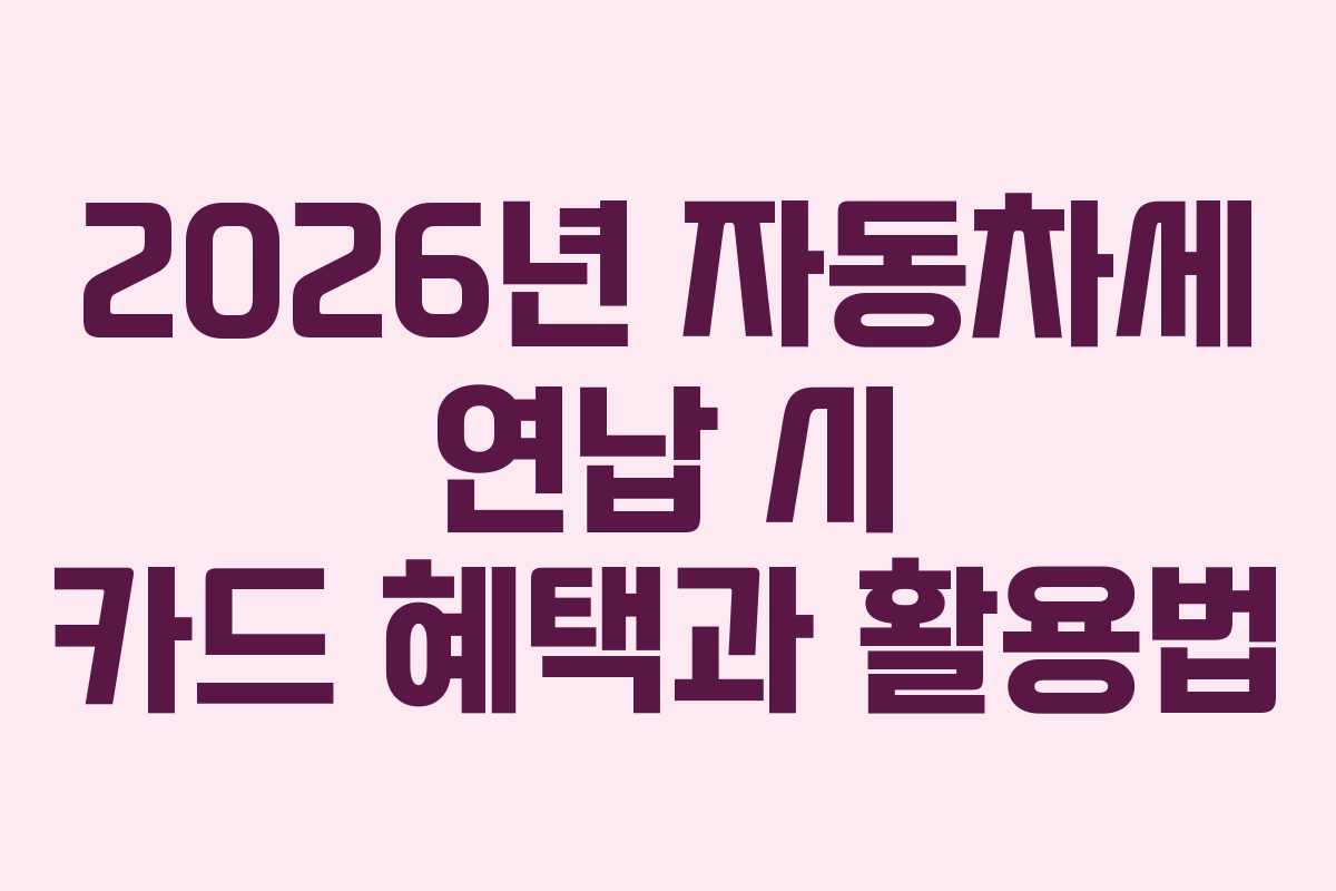 2026년 자동차세 연납 시 카드 혜택과 활용법