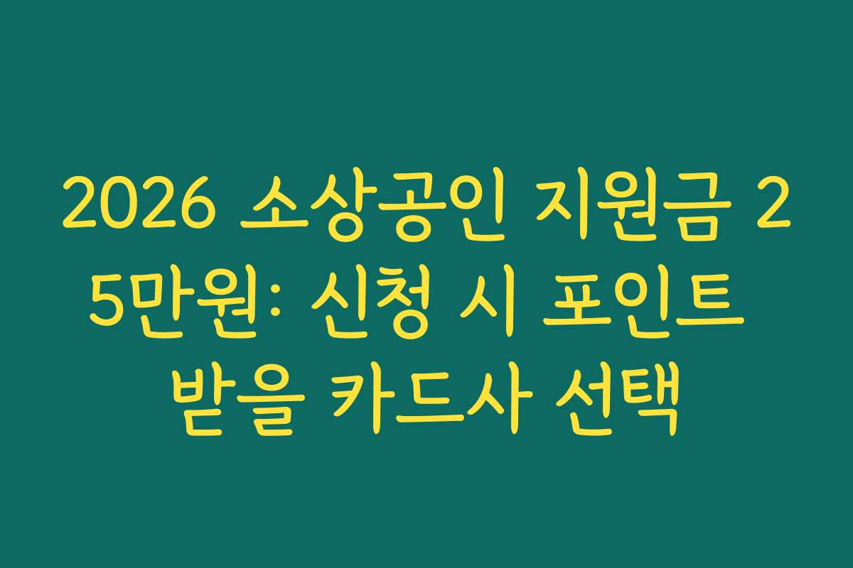 2026 소상공인 지원금 25만원: 신청 시 포인트 받을 카드사 선택