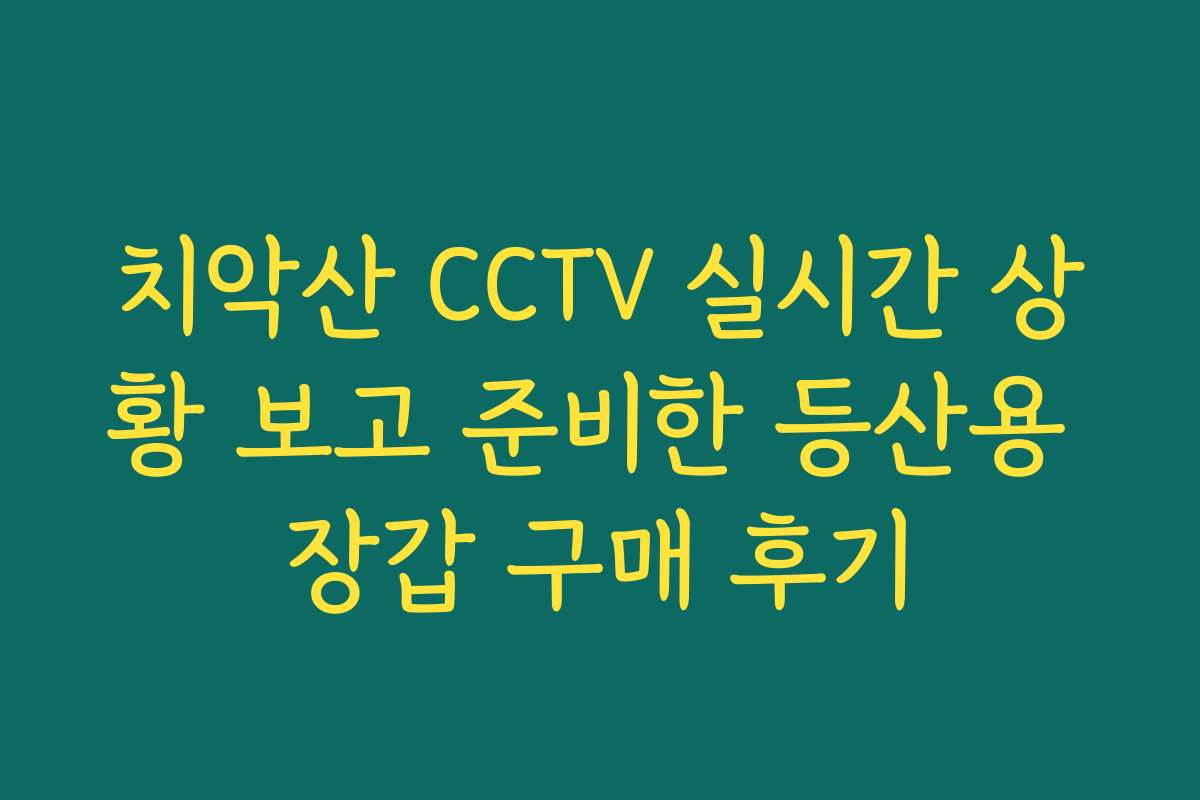 치악산 CCTV 실시간 상황 보고 준비한 등산용 장갑 구매 후기