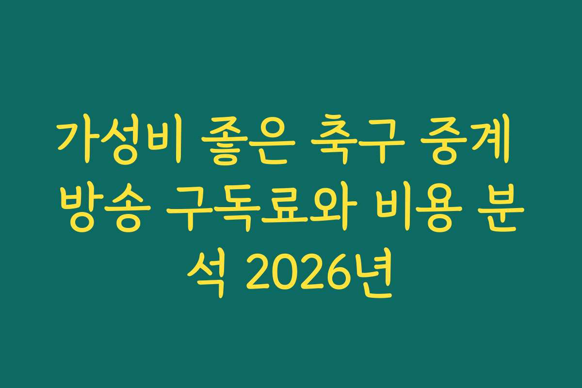 가성비 좋은 축구 중계 방송 구독료와 비용 분석 2026년