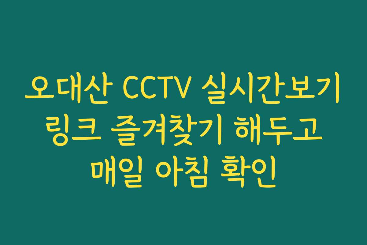 오대산 CCTV 실시간보기 링크 즐겨찾기 해두고 매일 아침 확인