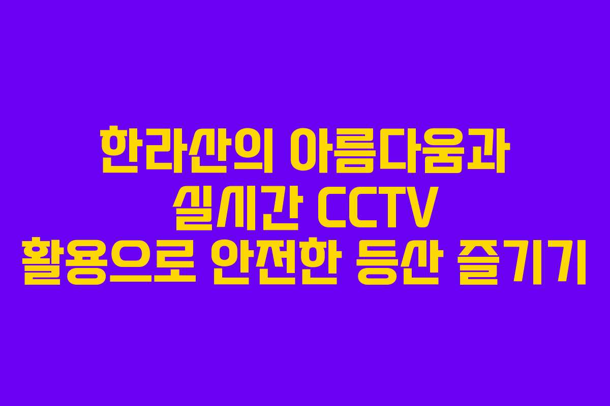 한라산의 아름다움과 실시간 CCTV 활용으로 안전한 등산 즐기기