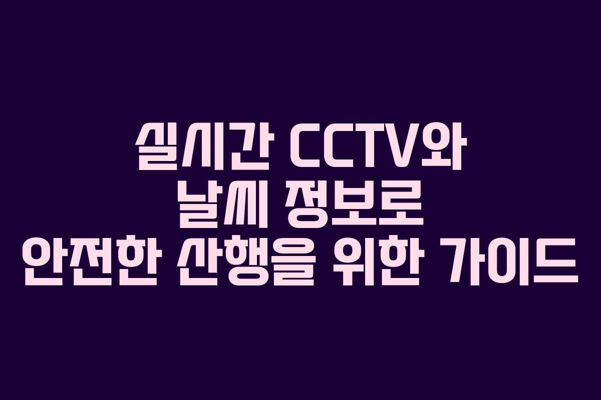 실시간 CCTV와 날씨 정보로 안전한 산행을 위한 가이드
