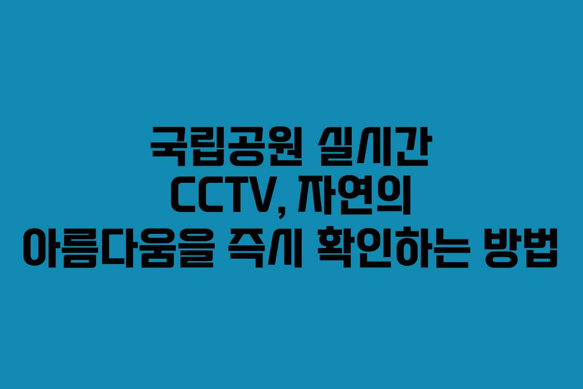 국립공원 실시간 CCTV, 자연의 아름다움을 즉시 확인하는 방법