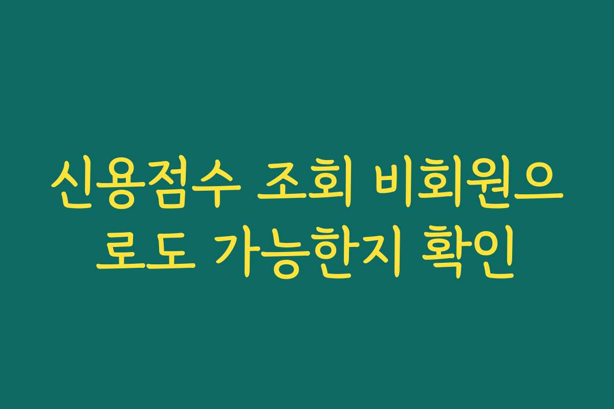 신용점수 조회 비회원으로도 가능한지 확인