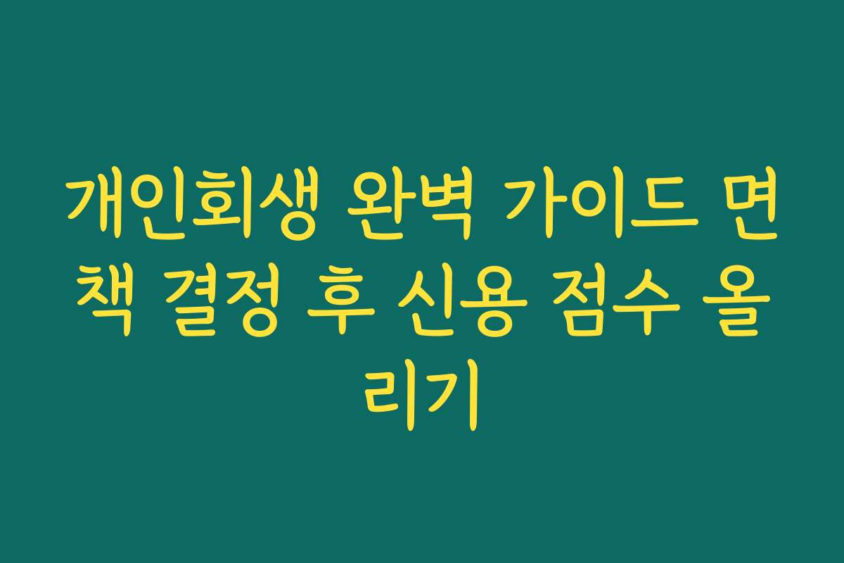 개인회생 완벽 가이드 면책 결정 후 신용 점수 올리기
