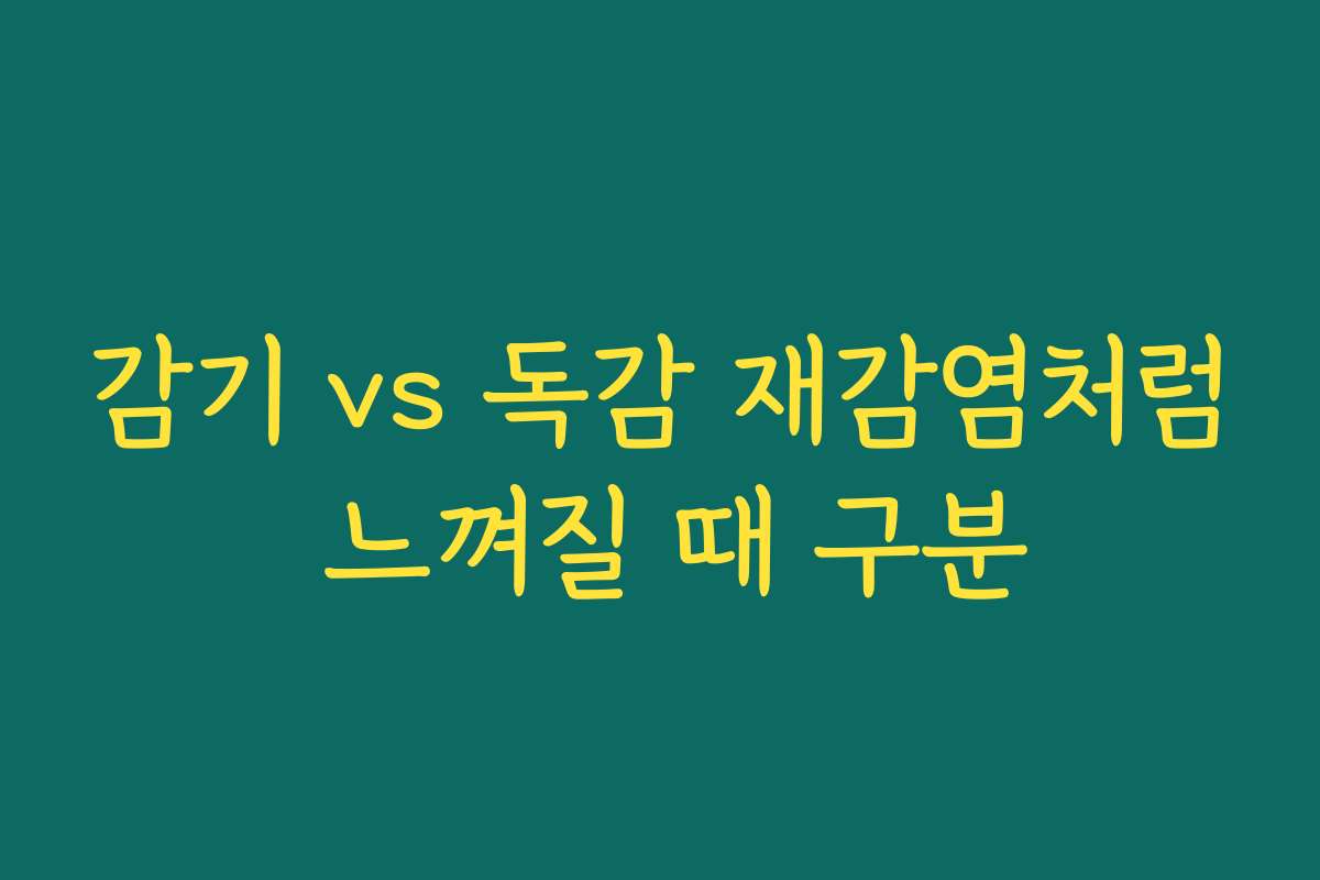 감기 vs 독감 재감염처럼 느껴질 때 구분
