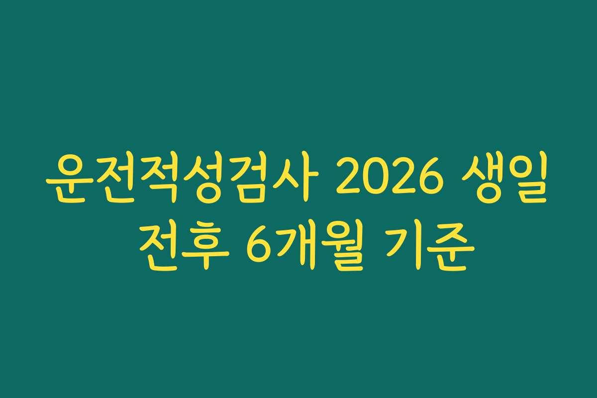 운전적성검사 2026 생일 전후 6개월 기준